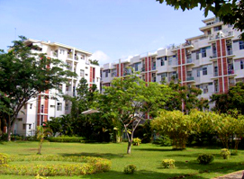A1-PMH